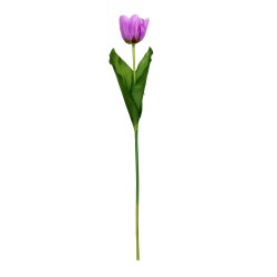 Tulipan mix kolorów 60cm