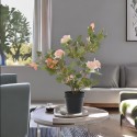 Róża krzew w doniczce jasno różowa 50cm - 2