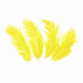 Pióra dekoracyjne żółte średnie ozdobne DIY 50szt - 1