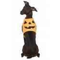 Ubranko dla psa uśmiechnięta dynia halloweenowe - 1