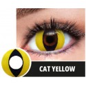 Soczewki jednodniowe kolorowe żółte Cat Yellow - 1