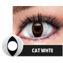 Soczewki jednodniowe kolorowe kontaktowe Cat White - 1