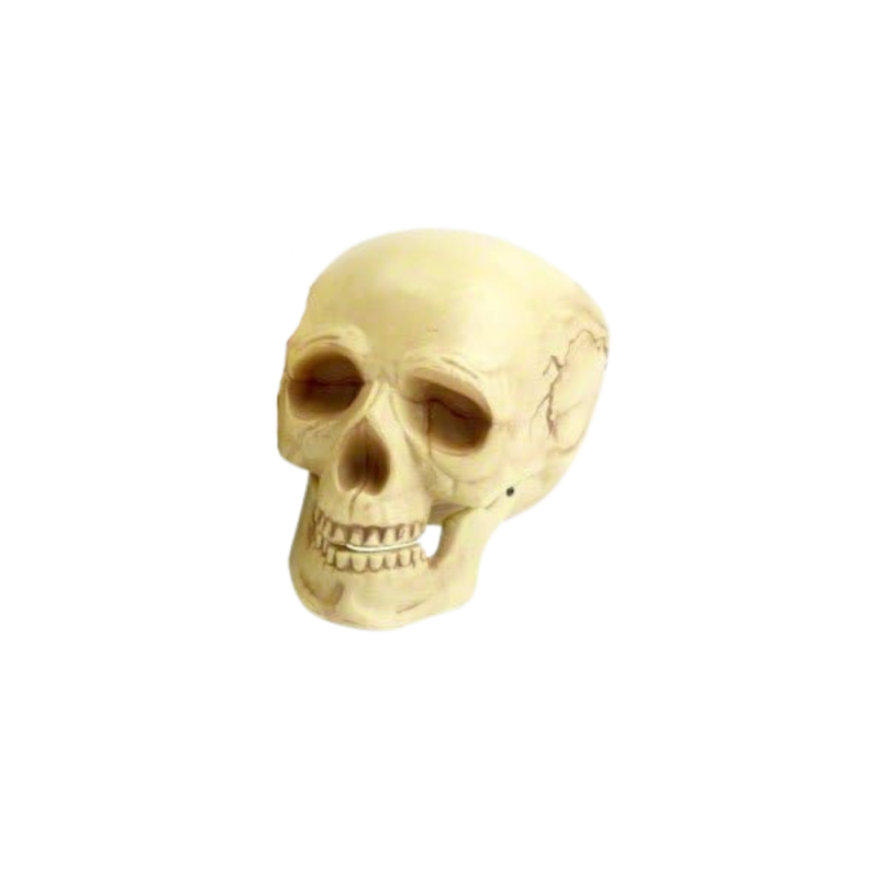 Sztuczna czaszka z ruchomą szczęką Halloween 16 cm - 3