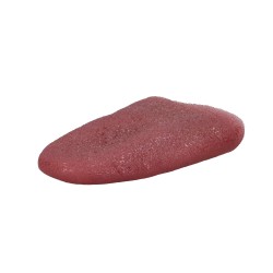 Sztuczny język atrapa lateksowy czerwony 6 cm