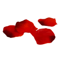 Płatki róż sztuczne czerwone przyciemniane 100szt - 3