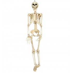 Szkielet wiszący 90cm - 1