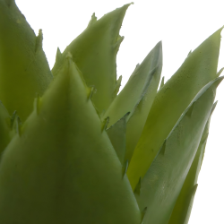Sztuczna roślinka zielona w doniczce jutowej 12cm - 3