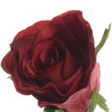 Róża sztuczna bordowa czerwona łodyga kwiat 45cm - 2