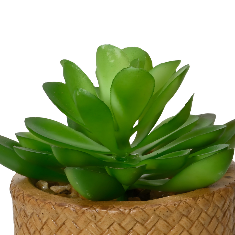 Sztuczna roślinka zielona mała w doniczce 10cm - 3