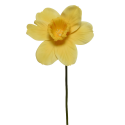 Narcyz Żonkil sztuczny kwiatek żółty biały dekoracyjny 39cm - 2