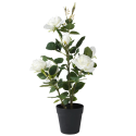 Róża róże sztuczna biała kwiat w doniczce dekoracyjne 62cm - 1