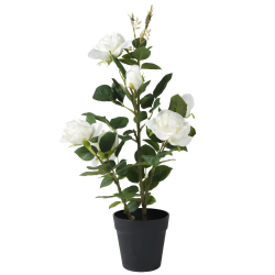 Róża róże sztuczna biała kwiat w doniczce dekoracyjne 62cm - 1
