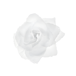 Róże różyczki białe samoprzylepne dekoracyjne na ślub wesele 9cm 24szt - 2