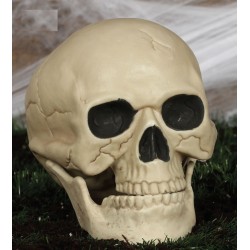 Sztuczna czaszka Halloween straszna dekoracja