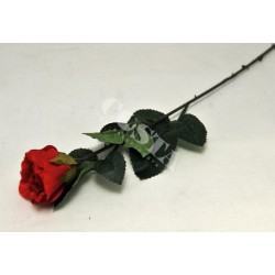 Róża łodyga 52cm