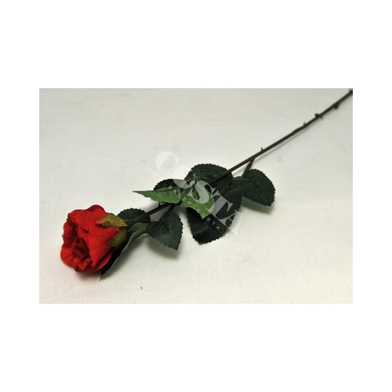 Róża łodyga 52cm - 1